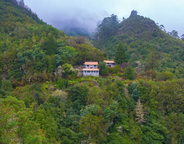Casa de família em fase de decisão